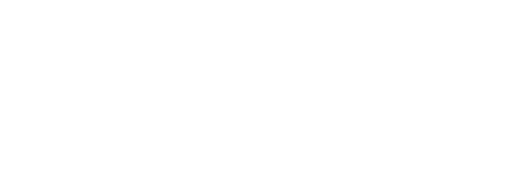 Perspective Tester Logo